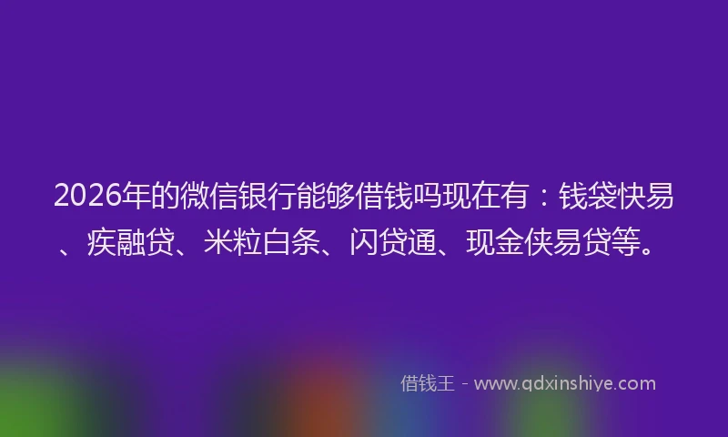 2026年的微信银行能够借钱吗现在有：钱袋快易、疾融贷、米粒白条、闪贷通、现金侠易贷等。