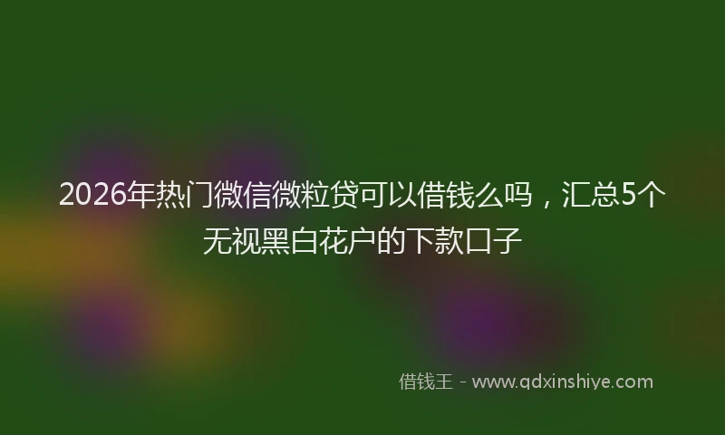 2026年热门微信微粒贷可以借钱么吗，汇总5个无视黑白花户的下款口子