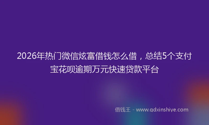 2026年热门微信炫富借钱怎么借，总结5个支付宝花呗逾期万元快速贷款平台