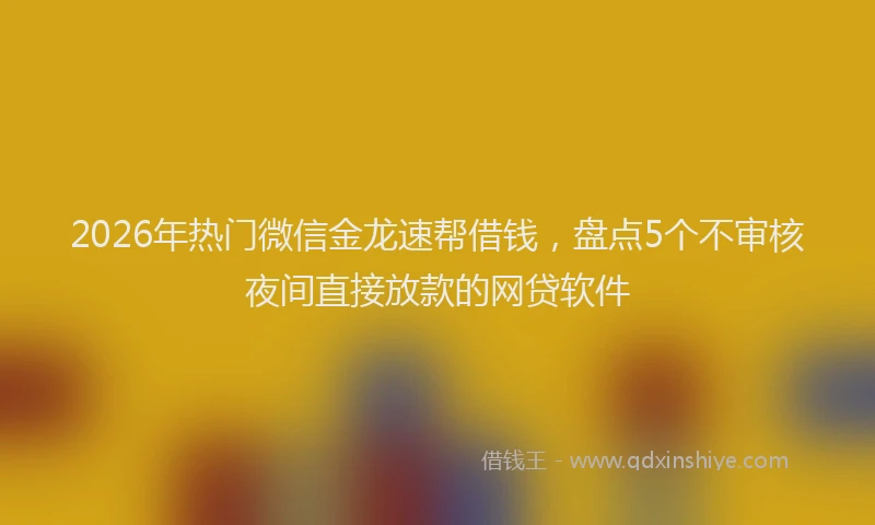 2026年热门微信金龙速帮借钱,盘点5个不审核夜间直接放款的网贷软件