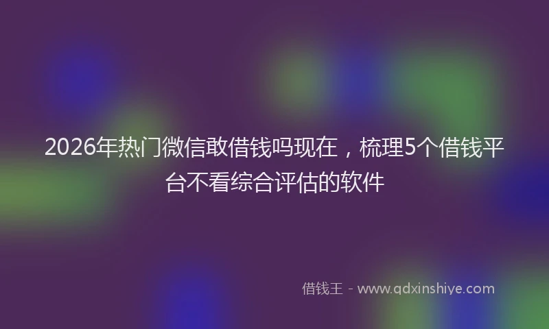 2026年热门微信敢借钱吗现在，梳理5个借钱平台不看综合评估的软件