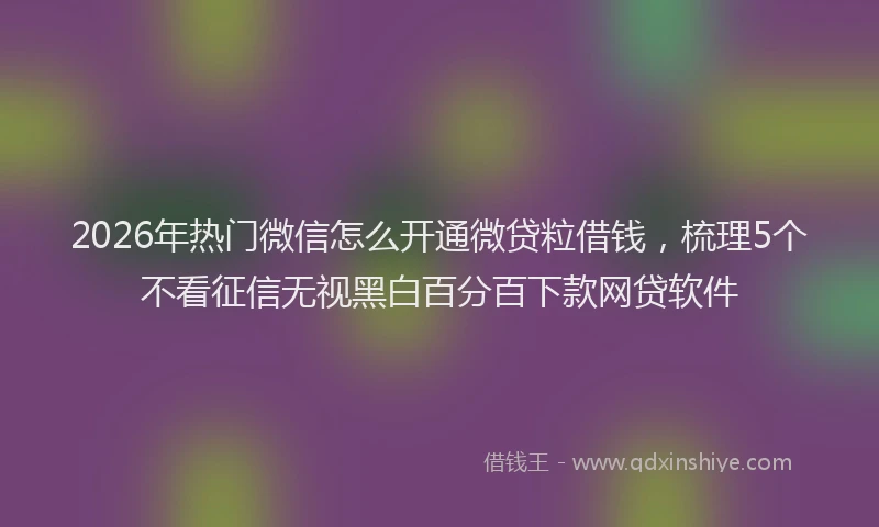 2026年热门微信怎么开通微贷粒借钱，梳理5个不看征信无视黑白百分百下款网贷软件
