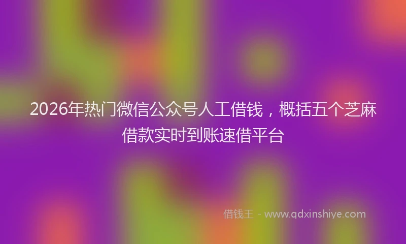 2026年热门微信公众号人工借钱，概括五个芝麻借款实时到账速借平台