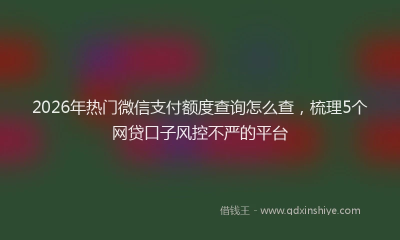 2026年热门微信支付额度查询怎么查，梳理5个网贷口子风控不严的平台