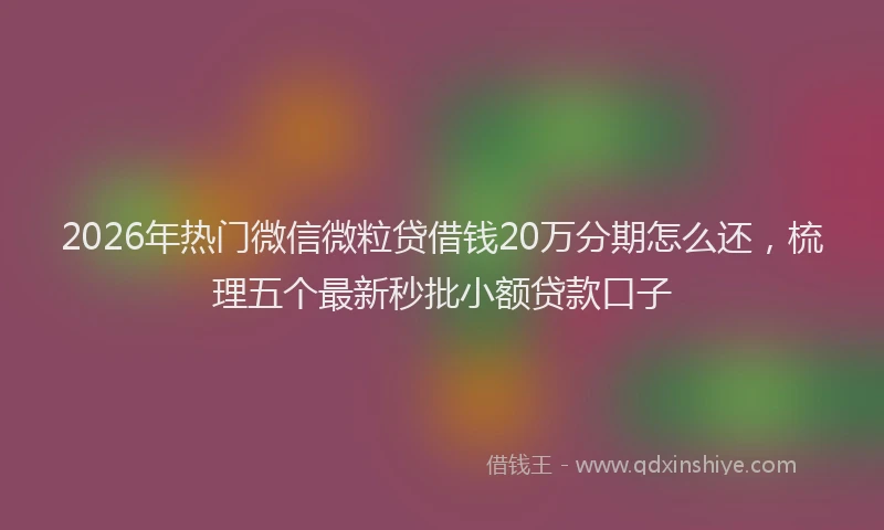 2026年热门微信微粒贷借钱20万分期怎么还，梳理五个最新秒批小额贷款口子