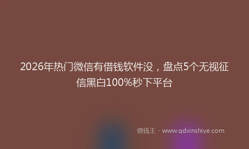 2026年热门微信有借钱软件没，盘点5个无视征信黑白100%秒下平台