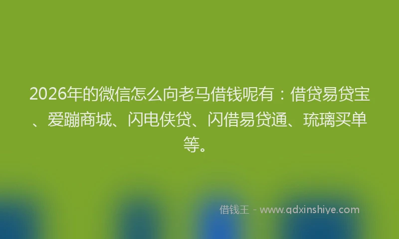 2026年的微信怎么向老马借钱呢有：借贷易贷宝、爱蹦商城、闪电侠贷、闪借易贷通、琉璃买单等。