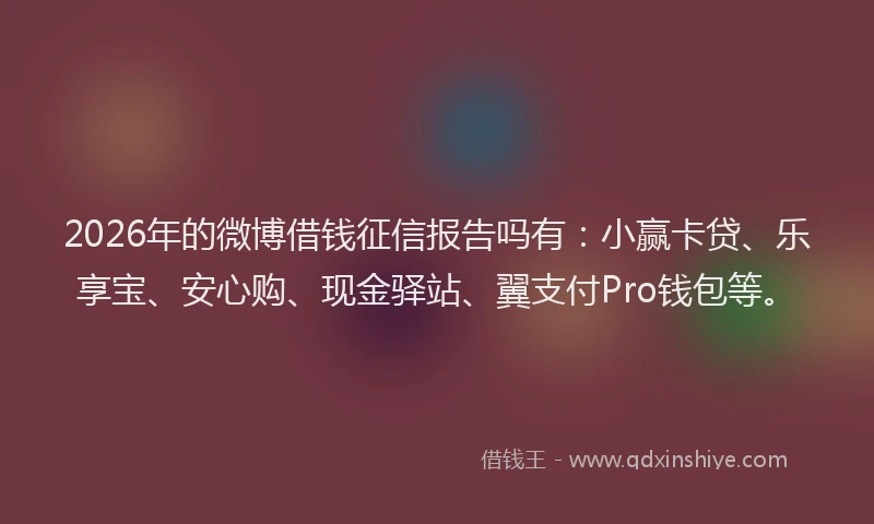 2026年的微博借钱征信报告吗有：小赢卡贷、乐享宝、安心购、现金驿站、翼支付Pro钱包等。