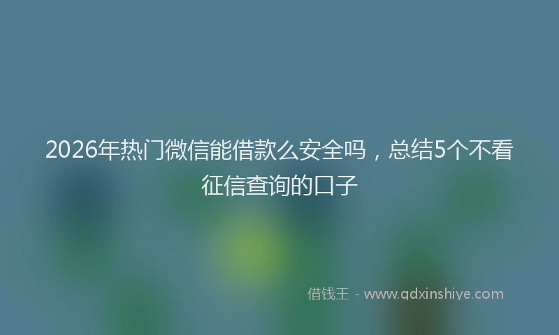 2026年热门微信能借款么安全吗，总结5个不看征信查询的口子
