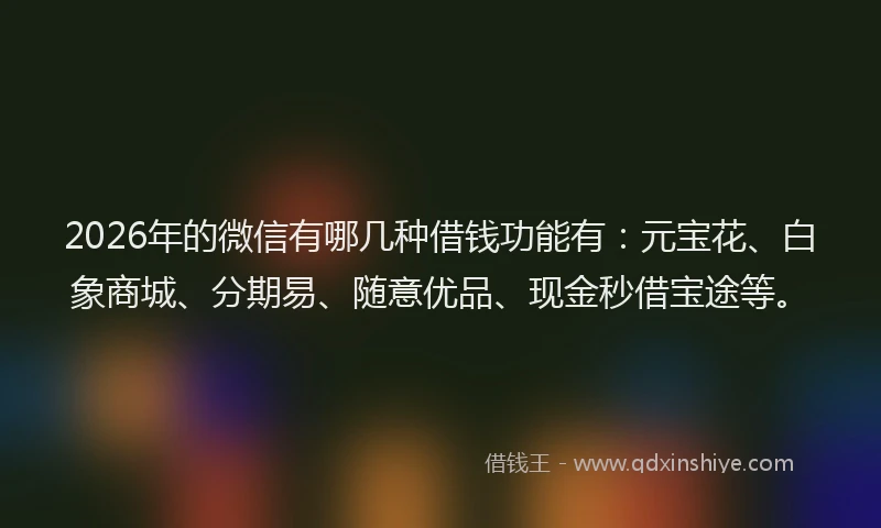 2026年的微信有哪几种借钱功能有：元宝花、白象商城、分期易、随意优品、现金秒借宝途等。