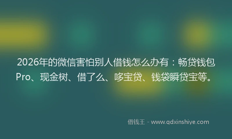 2026年的微信害怕别人借钱怎么办有：畅贷钱包Pro、现金树、借了么、哆宝贷、钱袋瞬贷宝等。