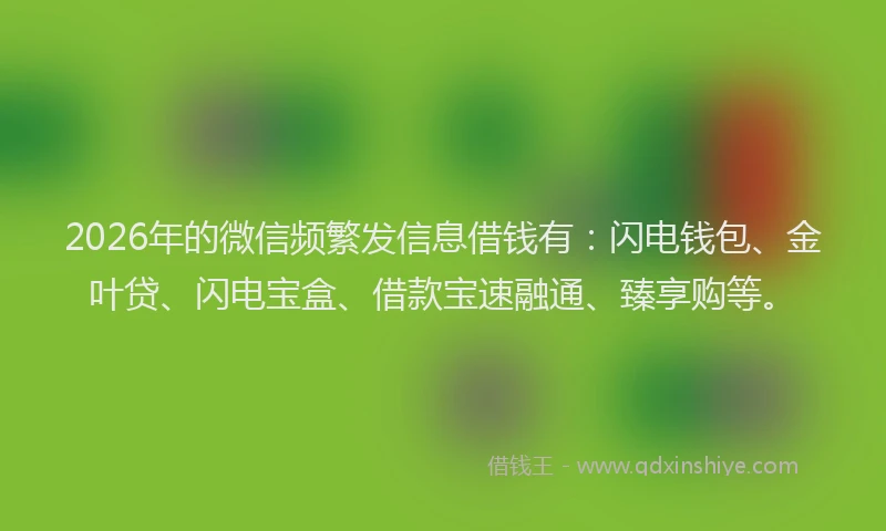 2026年的微信频繁发信息借钱有：闪电钱包、金叶贷、闪电宝盒、借款宝速融通、臻享购等。