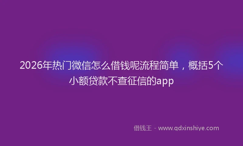 2026年热门微信怎么借钱呢流程简单，概括5个小额贷款不查征信的app