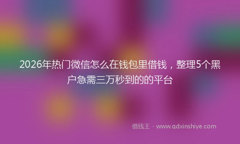 2026年热门微信怎么在钱包里借钱，整理5个黑户急需三万秒到的的平台