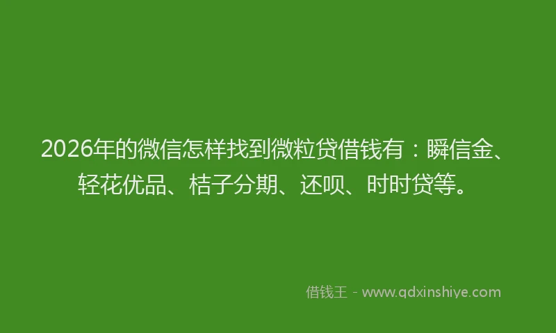 2026年的微信怎样找到微粒贷借钱有：瞬信金、轻花优品、桔子分期、还呗、时时贷等。