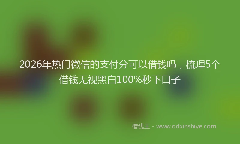 2026年热门微信的支付分可以借钱吗，梳理5个借钱无视黑白100%秒下口子