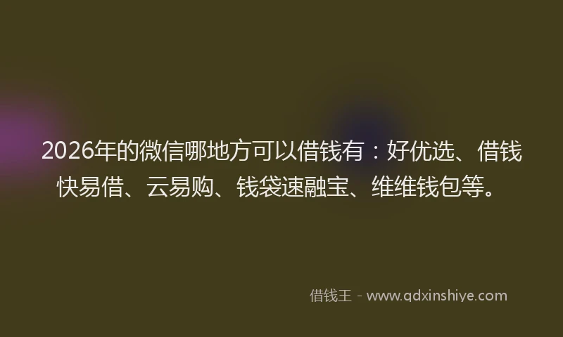 2026年的微信哪地方可以借钱有：好优选、借钱快易借、云易购、钱袋速融宝、维维钱包等。
