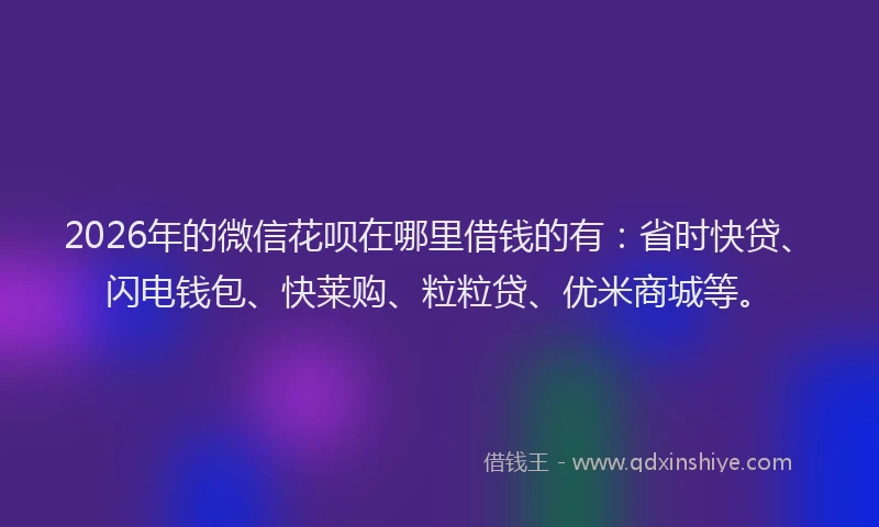 2026年的微信花呗在哪里借钱的有：省时快贷、闪电钱包、快莱购、粒粒贷、优米商城等。