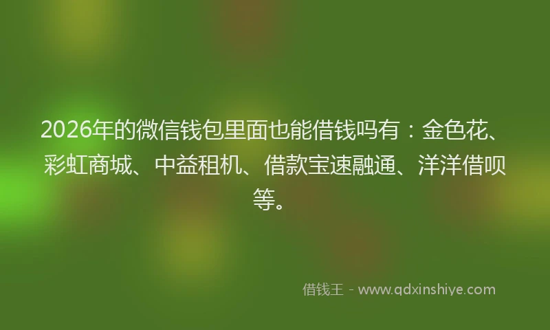 2026年的微信钱包里面也能借钱吗有：金色花、彩虹商城、中益租机、借款宝速融通、洋洋借呗等。