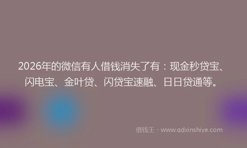 2026年的微信有人借钱消失了有：现金秒贷宝、闪电宝、金叶贷、闪贷宝速融、日日贷通等。
