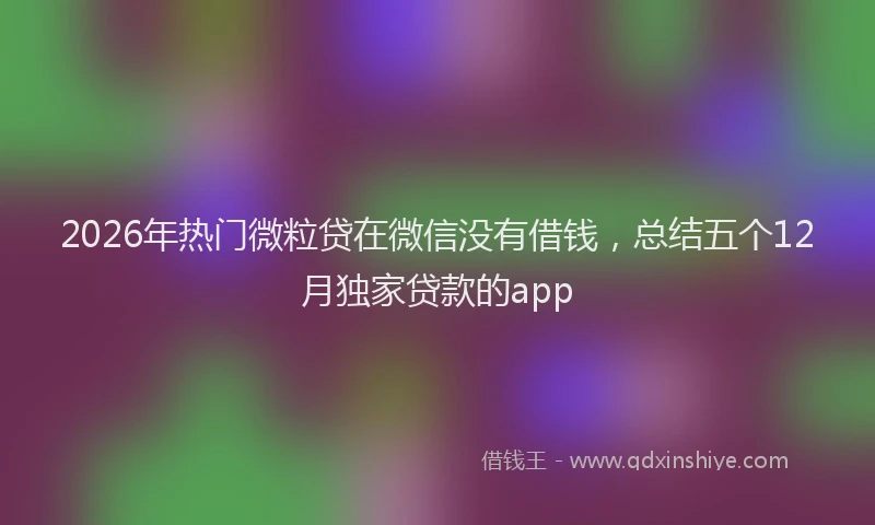 2026年热门微粒贷在微信没有借钱，总结五个12月独家贷款的app