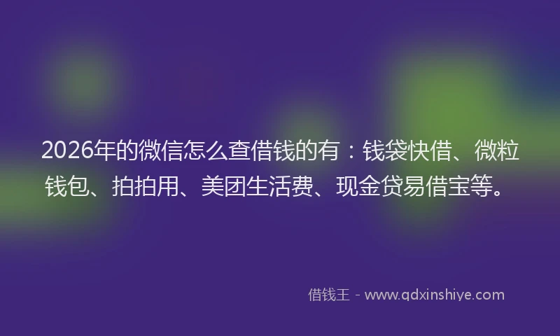 2026年的微信怎么查借钱的有：钱袋快借、微粒钱包、拍拍用、美团生活费、现金贷易借宝等。
