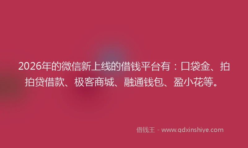 2026年的微信新上线的借钱平台有：口袋金、拍拍贷借款、极客商城、融通钱包、盈小花等。