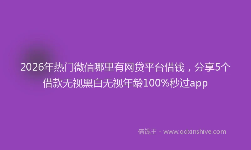 2026年热门微信哪里有网贷平台借钱，分享5个借款无视黑白无视年龄100%秒过app