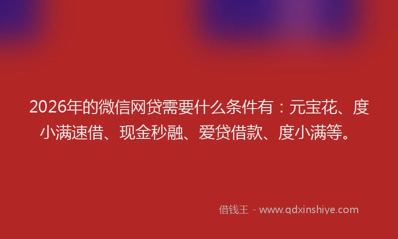 2026年的微信网贷需要什么条件有:元宝花、度小满速借、现金秒融、爱贷借款、度小满等。