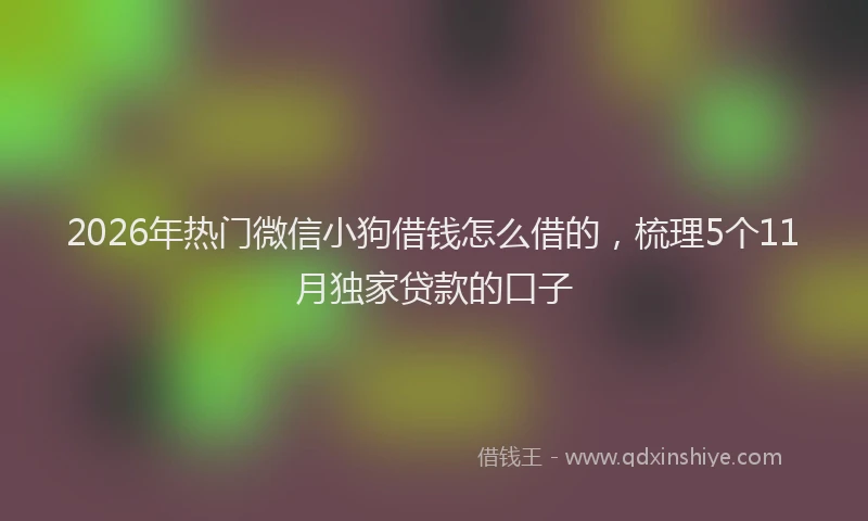 2026年热门微信小狗借钱怎么借的，梳理5个11月独家贷款的口子