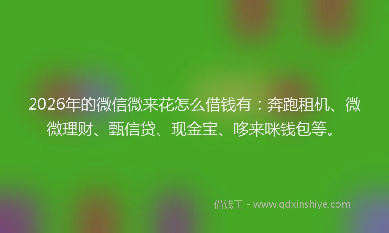 2026年的微信微来花怎么借钱有：奔跑租机、微微理财、甄信贷、现金宝、哆来咪钱包等。