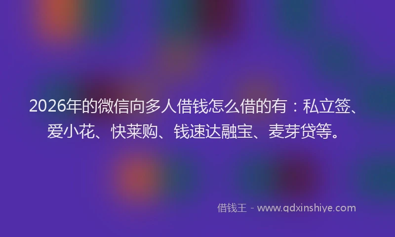 2026年的微信向多人借钱怎么借的有：私立签、爱小花、快莱购、钱速达融宝、麦芽贷等。