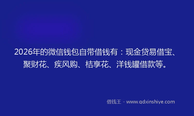 2026年的微信钱包自带借钱有：现金贷易借宝、聚财花、疾风购、桔享花、洋钱罐借款等。