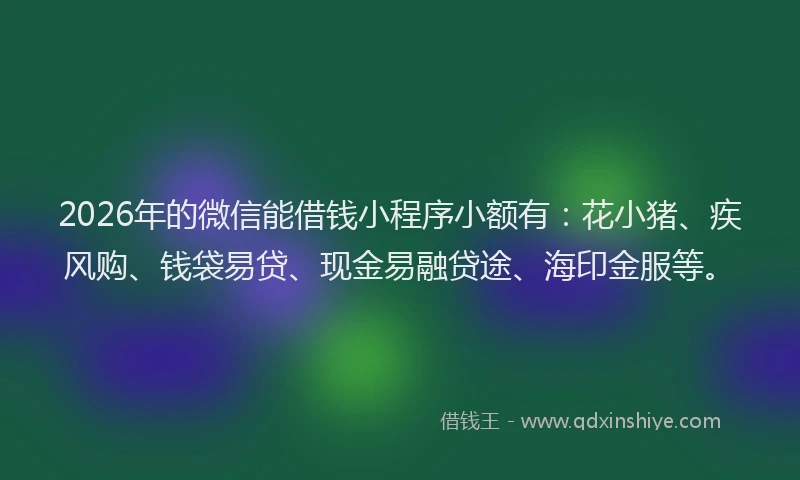 2026年的微信能借钱小程序小额有:花小猪、疾风购、钱袋易贷、现金易融贷途、海印金服等。