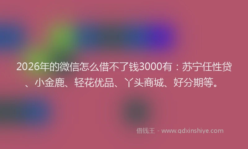2026年的微信怎么借不了钱3000有：苏宁任性贷、小金鹿、轻花优品、丫头商城、好分期等。