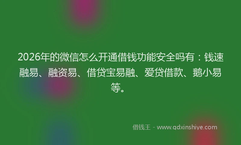 2026年的微信怎么开通借钱功能安全吗有:钱速融易、融资易、借贷宝易融、爱贷借款、鹅小易等。