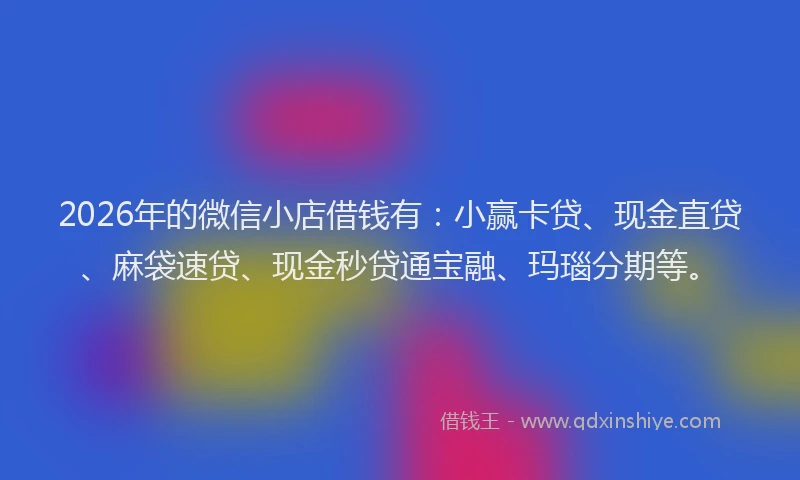 2026年的微信小店借钱有:小赢卡贷、现金直贷、麻袋速贷、现金秒贷通宝融、玛瑙分期等。