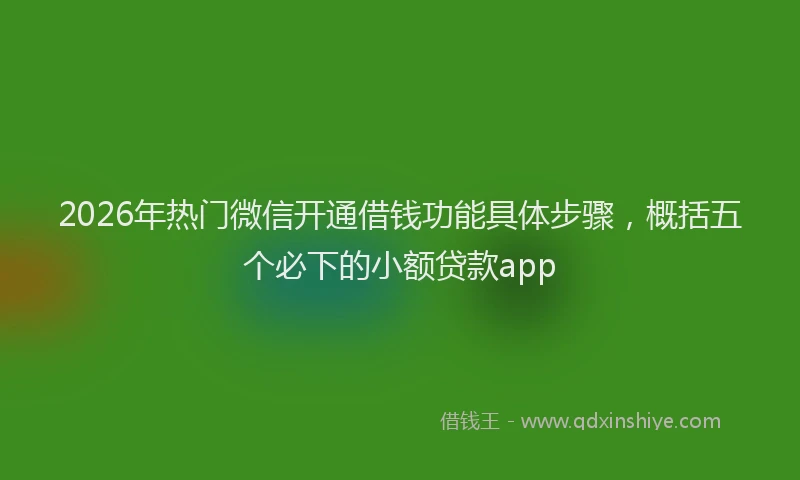 2026年热门微信开通借钱功能具体步骤，概括五个必下的小额贷款app
