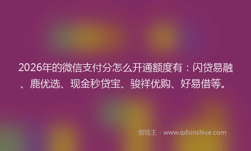 2026年的微信支付分怎么开通额度有：闪贷易融、鹿优选、现金秒贷宝、骏祥优购、好易借等。