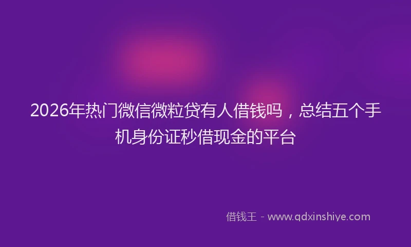 2026年热门微信微粒贷有人借钱吗，总结五个手机身份证秒借现金的平台