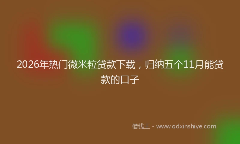 2026年热门微米粒贷款下载，归纳五个11月能贷款的口子