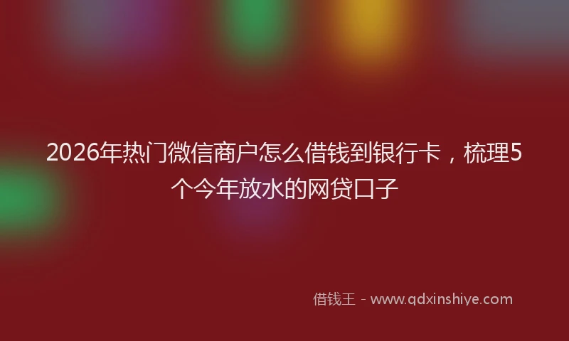 2026年热门微信商户怎么借钱到银行卡，梳理5个今年放水的网贷口子