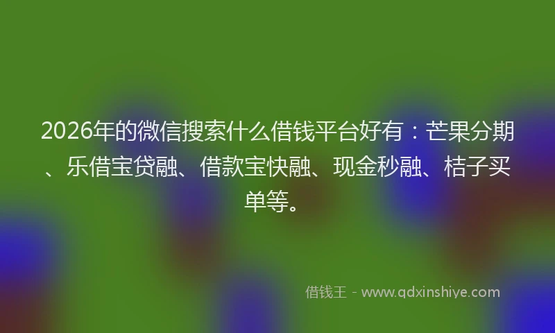 2026年的微信搜索什么借钱平台好有：芒果分期、乐借宝贷融、借款宝快融、现金秒融、桔子买单等。