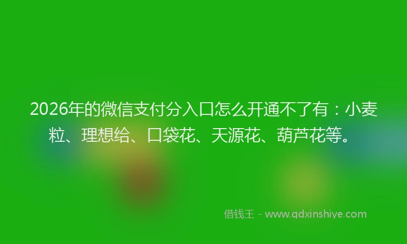 2026年的微信支付分入口怎么开通不了有：小麦粒、理想给、口袋花、天源花、葫芦花等。