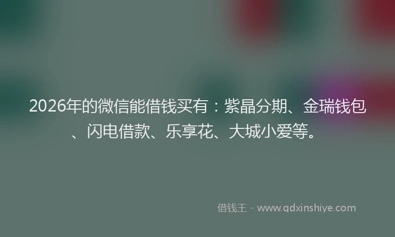 2026年的微信能借钱买有：紫晶分期、金瑞钱包、闪电借款、乐享花、大城小爱等。