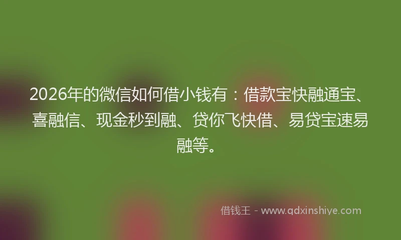 2026年的微信如何借小钱有:借款宝快融通宝、喜融信、现金秒到融、贷你飞快借、易贷宝速易融等。