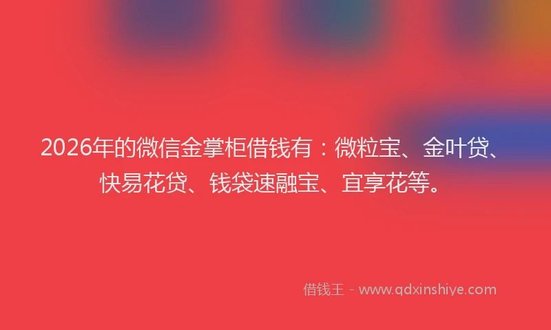 2026年的微信金掌柜借钱有：微粒宝、金叶贷、快易花贷、钱袋速融宝、宜享花等。