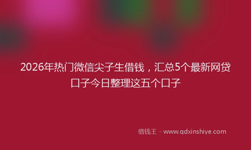 2026年热门微信尖子生借钱，汇总5个最新网贷口子今日整理这五个口子