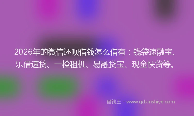 2026年的微信还呗借钱怎么借有:钱袋速融宝、乐借速贷、一橙租机、易融贷宝、现金快贷等。