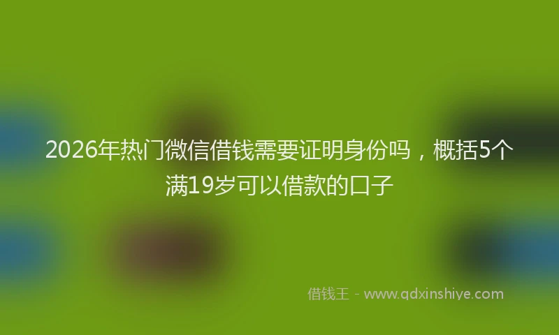 2026年热门微信借钱需要证明身份吗，概括5个满19岁可以借款的口子